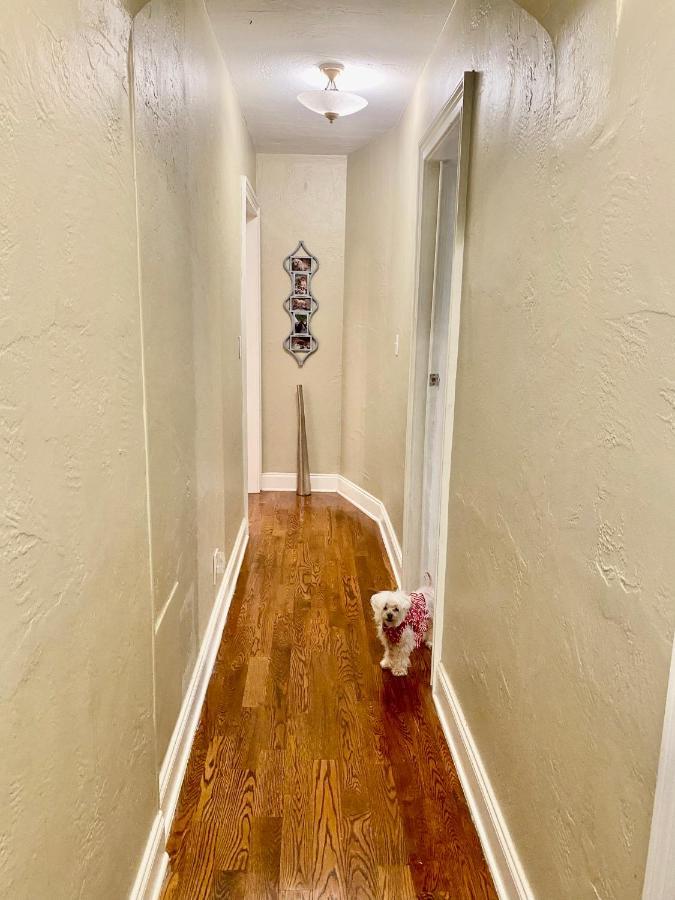 Casa Brasil B&B Hollywood Bagian luar foto